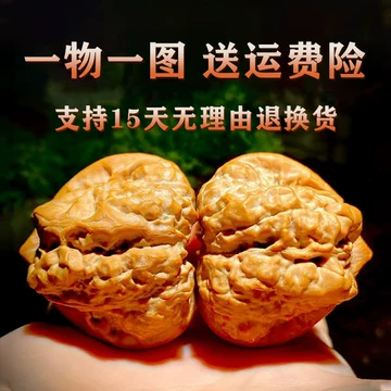 怀柔肌肉蛤蟆头Chinese WenWan Walnut（Toad Head）文玩核桃- 修