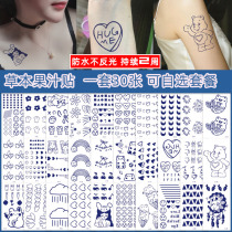 Herbal juice tattoo stickers Waterproof durable female realistic semi-permanent cartoon ins cute small pattern Hyuna tattoo