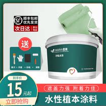 Diatom mud paint environmentally friendly latex paint diatom milk adjustable color DIY TV background wall water-based diatom wall paint