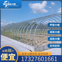 Greenhouse steel pipe skeleton full range of agricultural vegetables cultivation Cultivation Conjoined with a special shelf for accessories for stents