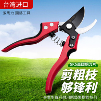 Imported pruning shears Germany Japan labor-saving fruit tree gardener strong florists Taiwan horticultural tree branches Mulberry shears Mulberry shears