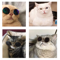 Kitty glasses to blame Gfiteddy blue cat sunglasses pooch glasses shake the same social glasses photo props.