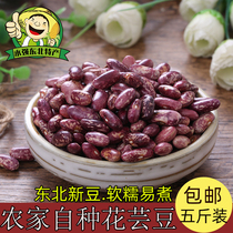 Northeast farmer fresh red kidney beans rice beans 5 pounds Heilongjiang green beans purple kidney beans flower waist beans safflower beans
