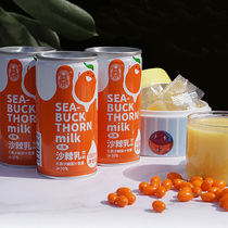 Acanthopanthus big fruit sea buckthorn juice yogurt 180ml * 12 cans of raw yogurt drink nutrition breakfast milk room temperature