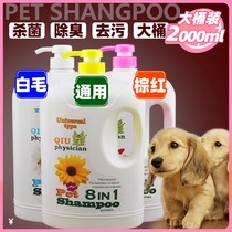  Dog shower gel sterilization deodorant mite Teddy golden retriever white hair Samoyed bath liquid supplies Pet shampoo vat