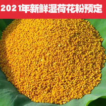 2021 fresh wet Lotus pollen edible fresh lotus powder unbroken bee pollen mellow bee pollen mellow Natural 1kg