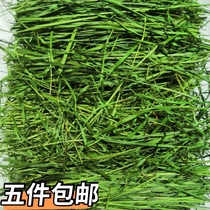 2021 bagged molar s timothy hay hanging-eared pygmy young rabbit Dutch pig chinchino woodgrass hay 500g