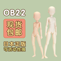 obitsu body 22cm new version of small chest middle chest big chest ob22 girl body body Japan genuine