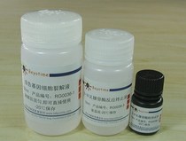 Biyuntian β-galactosidase reporter gene test kit RG0036 200 times