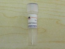 Proteinase K (20mg ml) ST533 biyuntian biological Beyotime