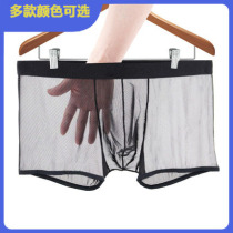Mens sexy underwear mens full transparent boxer U convex JJ pubic hair middle waist ultra-thin GAY mesh sexy
