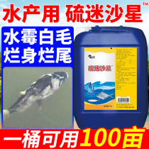 Water Moldy Water Moldy Clear Thiefloxacin White Faults Rot of Rotten Gill Tail Aquatic Fish Water Molars Net Aquaculture