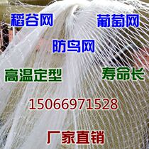 Anti-bird net Free mail Orchard net Grape net Rice fish pond Nylon net by catty sales large preferential factory direct sales