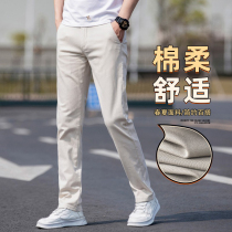 High - end rice white casual pants men practice straight tube 2023 summer thin spring and autumn rice cotton pants