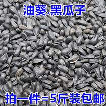 Black pearl melon seeds Sunflower seeds Oil Sunflower seeds Parrot bird food Hamster squirrel snack bird food five pounds