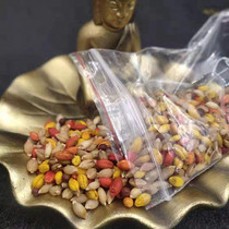 Tibet Zhaji Temple highland barley to provide rice to Buddha supplies 5 bags