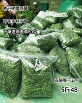 21 new sunburn Timothy Moses dried grass rabbit dragon cat Dutch pig supplies rat pet feed 5 catties 45 spot