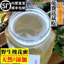 Wild honey pure natural farm self-produced mature acacia honey pregnant woman sophora flower from home bulk 2kg small bottle