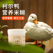 Chong duck canteen Cole duck nutrition rice paste young duck opening grain Koer duck food feed pet duck feed food