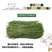 (H1-Guoti drying North Tiiti stubble) 21 years New grass No-ear Gansu Timoi Guoti Main grass 500g