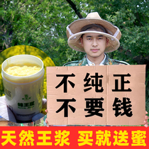 2022 rapeseed spring jelly natural royal jelly fresh 500g farmhouse-produced royal jelly royal jelly spring jelly