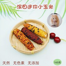 Pets 88 Hamada hamster hamster small corn rabbit dragon cat graced small food paparazzi with zero food stick PE34