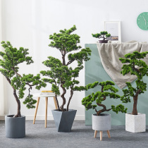 New Chinese style large simulation creative fake tree welcome pine bonsai plant decoration indoor floor decoration green plant ornaments