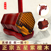 Zhou Aiguo Erhu five-star African red sandalwood Feilong handmade fine musical instrument professional performance examination adult