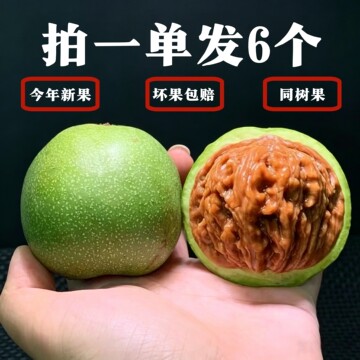 新手文玩核桃-新手文玩核桃促销价格、新手文玩核桃品牌- 淘宝