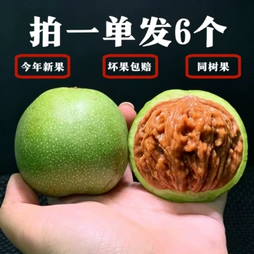 【高品質】文玩核桃 老樹赤皮山地 麒麟紋官帽 42mm 老树文玩核桃-老树文玩核桃促销价格、老树文玩核桃品牌- 淘宝