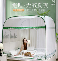 Mongolia packs mosquito nets 2022 new advanced zips free from mounting foldable washable baby anti-fall and anti-dust