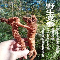 Super-grade wild codonopsis 500g Gansu wild ginseng pattern Luodonopsis Chinese herbal medicine angshen combination astragalus angelica soup