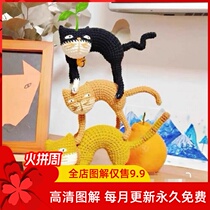 Crochet Illustration W023 Cat Waist Doll Birthday Creative Gift Wool Hand-woven Knitted Doll Tutorial Recommendation