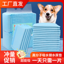 Dog pet diaper thickening deodorant water absorption guide toilet diaper cat absorbent pad production pad