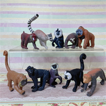Small-scale PV out-of-print simulation animal model ornaments toy long-nose monkey howler monkey sloth langur