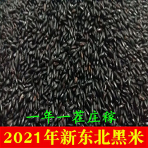2021 New Black Rice Wuchang Special Black Fragrant Rice No Dyeing Black Rice Natural Self-produced 500g
