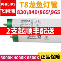 Fish cylinder lamp lighting T8 Philips 865 diving lamp 965 dragon fish lamp 830 hair color 30W36W water grass lamp