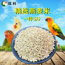 Oat Rice Bird Food Feed Bird Grain Tiger Peel Xuan Phoenix Parrot Dove Grain 5 Cati National 20 Province