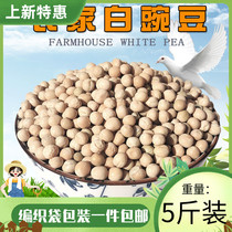 High quality white jade pea baby pigeon food carrier pigeon protein baby pigeon feed pure pea pigeon food 5kg