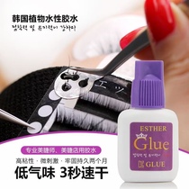 Korea imports KOE grafted planting eyelash glue without irritation and allergy lasting 45-day beauty salon superrow