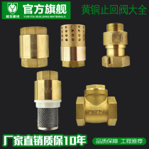 Brass horizontal vertical check valve swing type water meter front check valve return valve check valve copper bottom valve