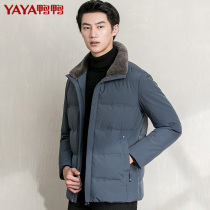 Duck duck 90 duck down winter mens down jacket short stand collar casual thickened warm winter coat