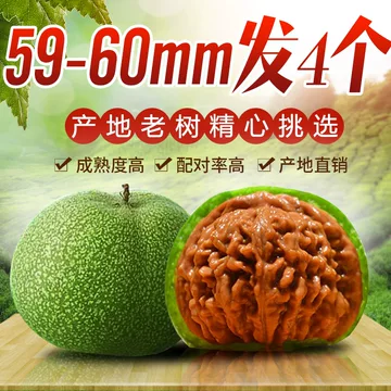 文玩核桃 原树吸血鬼官帽 32mm 核桃树文玩核桃-核桃树文玩核桃促销价格、核桃树文玩核桃品牌- 淘宝