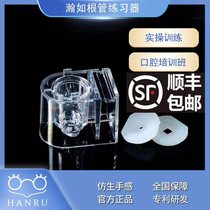 Root canal exerciser Connect root tester Simulate oral environment Fix isolated teeth Dentist root canal exerciser