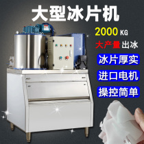 Large ice machine Commercial flake ice machine 2000KG seafood buffet fish scales ice machine cold storage