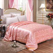Quilt winter quilt silk quilt spring and autumn single summer dormitory children thick and warm double