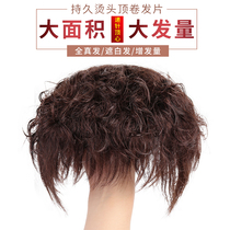 Wigg hair reissue mother middle-aged and old white hair texture fluffy curly hair no trace wig female short hair
