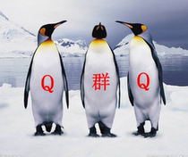 8-year-old Group--(2013 group) -- 8-year-old group