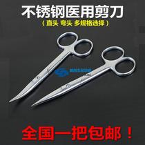 Medical stainless steel scissors eyebrow scissors straight tip beauty ophthalmology double eyelid scissors pointed elbow 10cm 14cm