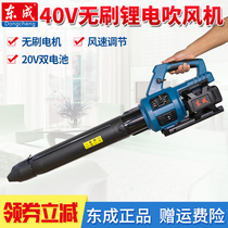Dongcheng 40V Brushless lithium-electric hair dryer blower household high-power rechargeable ash cleaning industrial dust collector